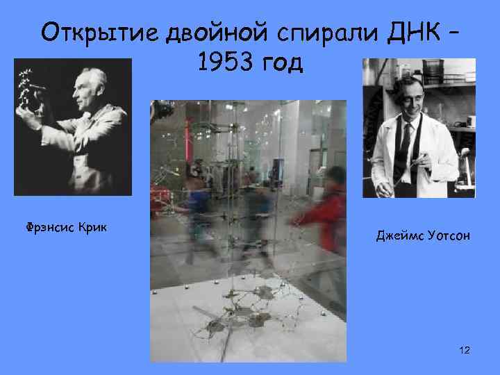 Открыл двойное. Открытие 1953 структуры ДНК Джеймс Уотсон. Открытие ДНК 1953. Открытие двойной спирали ДНК 1953. 1953 – Открытие ДНК. Фото.