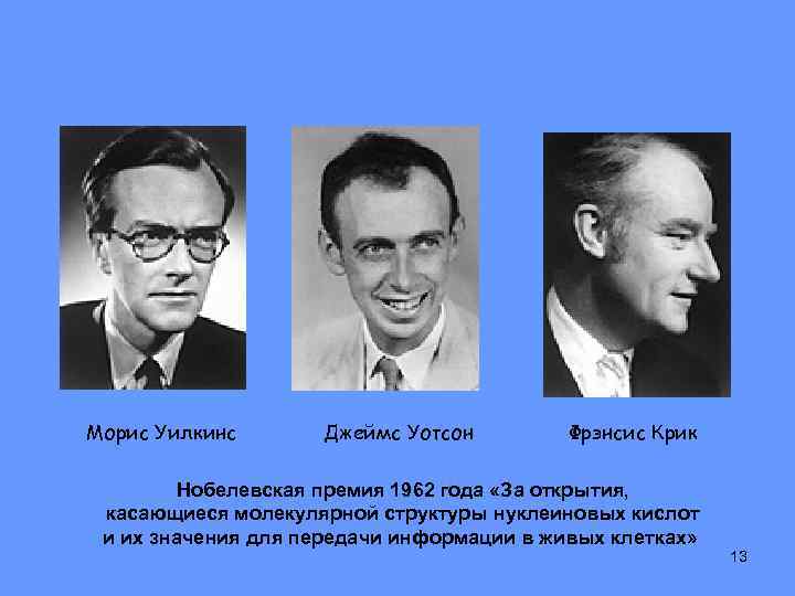 Морис Уилкинс Джеймс Уотсон Фрэнсис Крик Нобелевская премия 1962 года «За открытия, касающиеся молекулярной