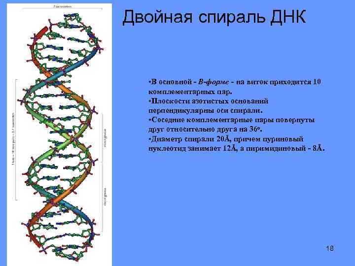 Двойная спираль роли