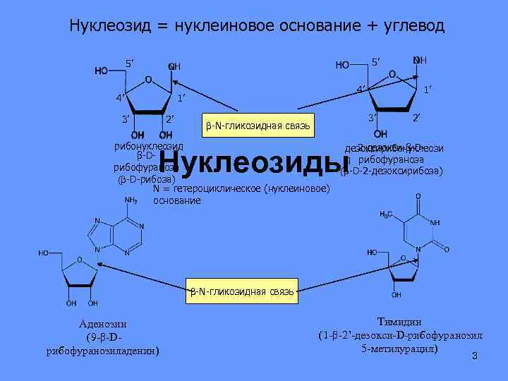 Углеводы в составе нуклеиновых кислот. Нуклеозиды образование гликозидной связи. Формула нуклеозида РНК. Нуклеозиды и нуклеотиды биохимия. Нуклеозиды формулы.