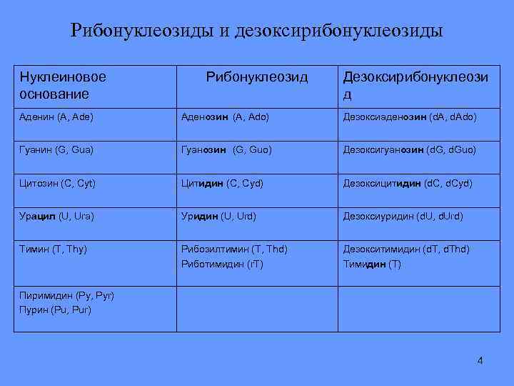 Рибонуклеозиды и дезоксирибонуклеозиды Нуклеиновое основание Рибонуклеозид Дезоксирибонуклеози д Аденин (A, Ade) Аденозин (A, Ado)
