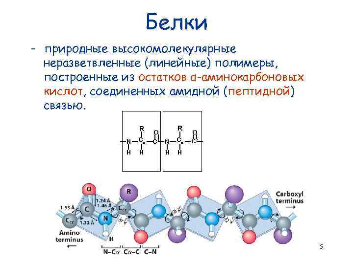 Строение молекулы какого мономера изображено на рисунке