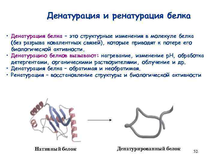 Денатурация и ренатурация белка • Денатурация белка – это структурные изменения в молекуле белка