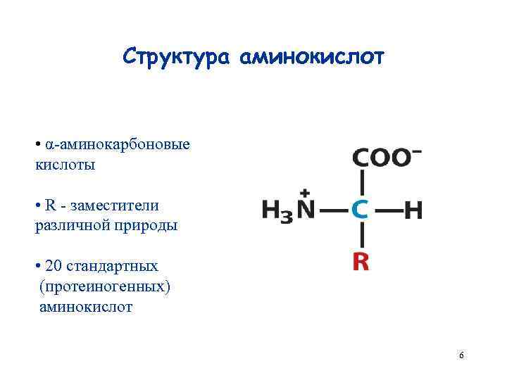 Группа входящие в состав аминокислот. Аминокислоты структура формулы. Строение аминокислот.