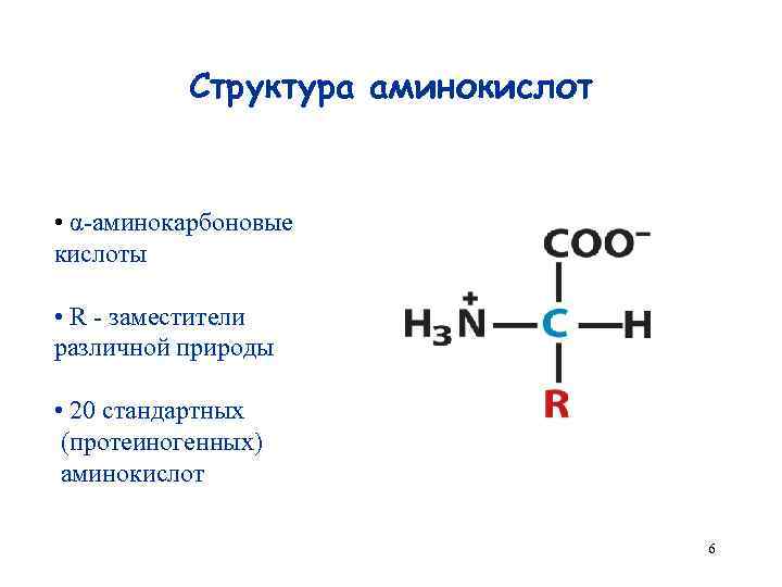 Особенности строения аминокислот. Аминокислоты структура формулы. Строение аминокислот.