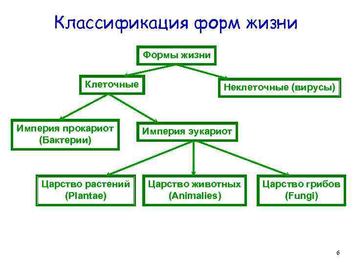 Классификация форм жизни Формы жизни Клеточные Империя прокариот (Бактерии) Царство растений (Plantae) Неклеточные (вирусы)