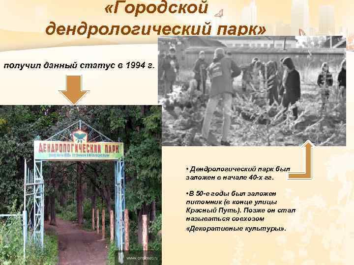  «Городской дендрологический парк» получил данный статус в 1994 г. В настоящее время площадь