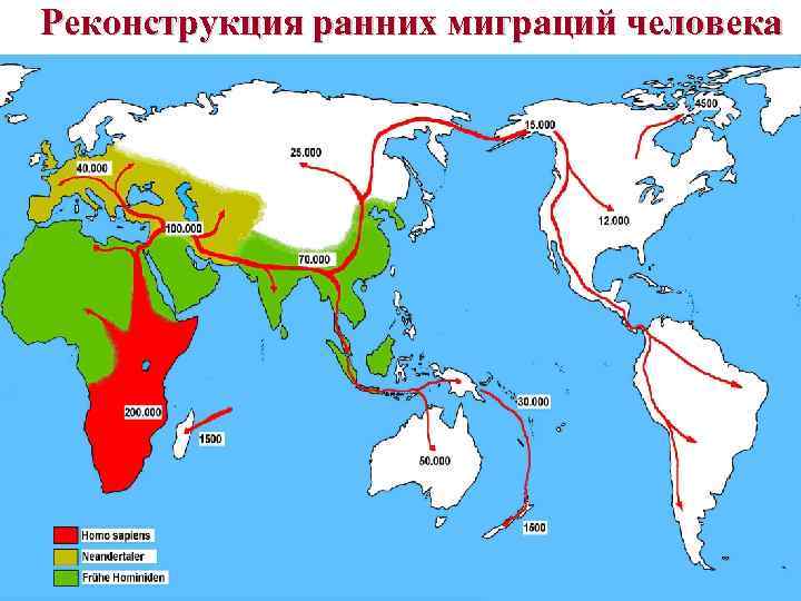 Реконструкция ранних миграций человека 