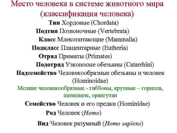 Составьте схему положения человека согласно критериям зоологической систематики