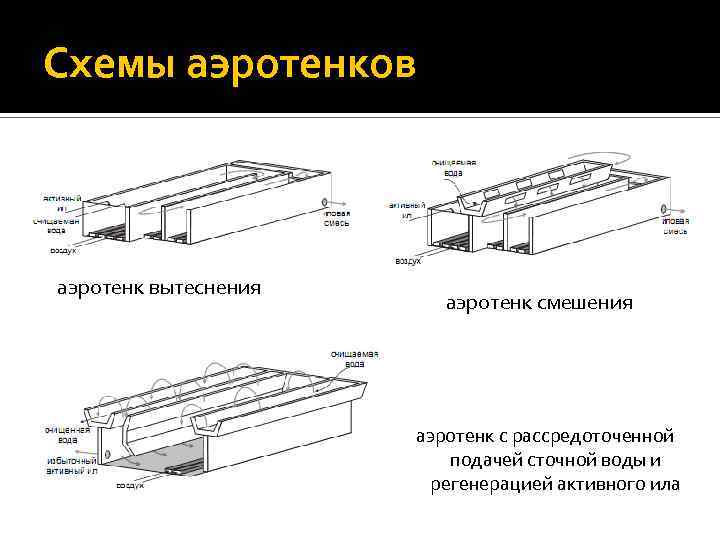 Активный ил аэротенка