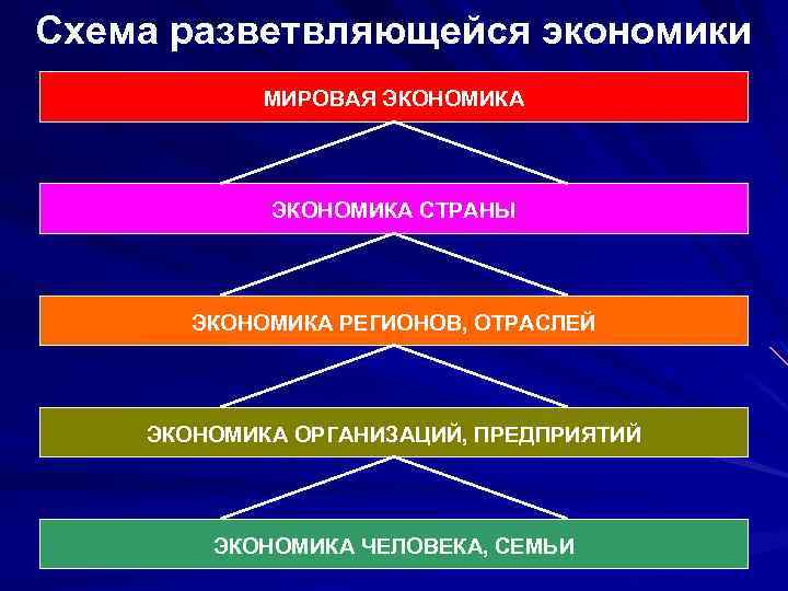 Схема разветвляющейся экономики МИРОВАЯ ЭКОНОМИКА СТРАНЫ ЭКОНОМИКА РЕГИОНОВ, ОТРАСЛЕЙ ЭКОНОМИКА ОРГАНИЗАЦИЙ, ПРЕДПРИЯТИЙ ЭКОНОМИКА ЧЕЛОВЕКА,