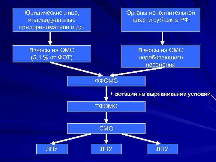 Юридические лица, индивидуальные предприниматели и др. Органы исполнительной власти субъекта РФ Взносы на ОМС