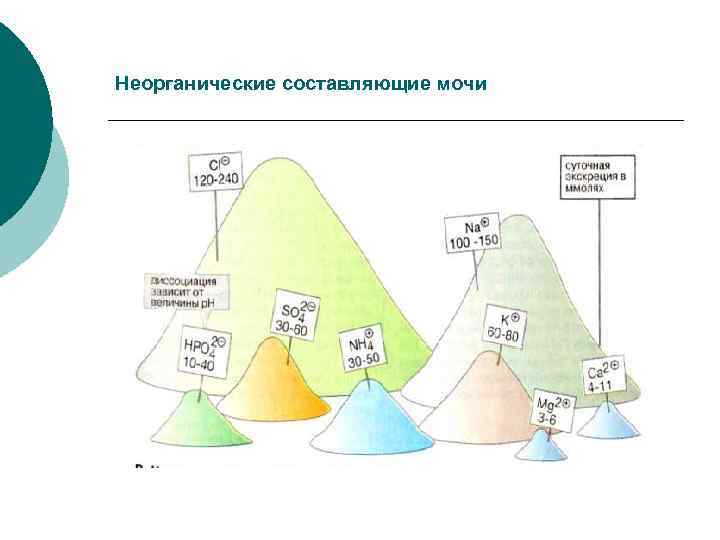 Неорганические составляющие мочи 