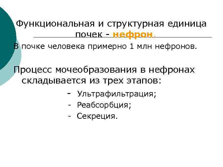 Функциональная и структурная единица почек - нефрон. В почке человека примерно 1 млн нефронов.