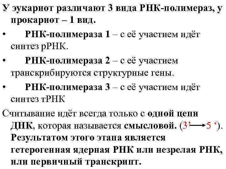 У эукариот различают 3 вида РНК-полимераз, у прокариот – 1 вид. • РНК-полимераза 1