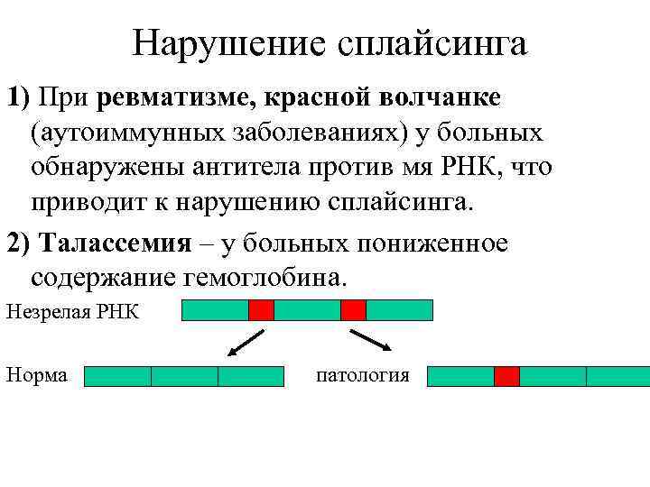 Нарушение сплайсинга 1) При ревматизме, красной волчанке (аутоиммунных заболеваниях) у больных обнаружены антитела против