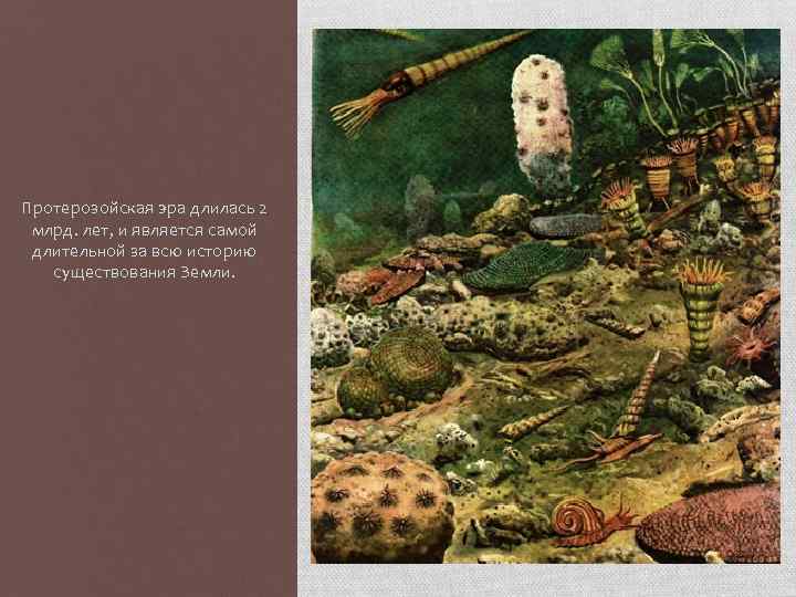 Протерозойская эра длилась 2 млрд. лет, и является самой длительной за всю историю существования
