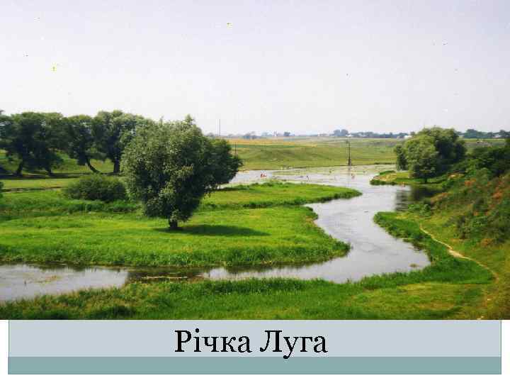 Річка Луга 