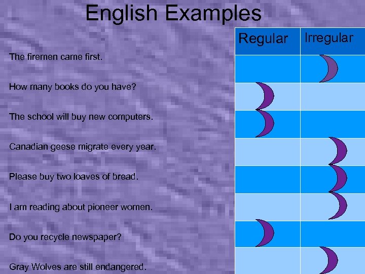 English Examples Regular The firemen came first. How many books do you have? The