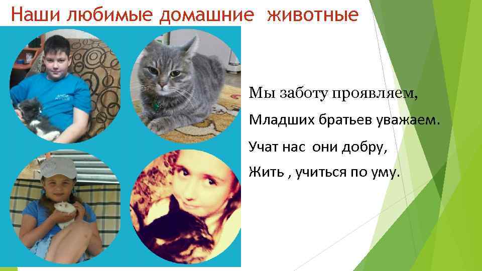Наши любимые домашние животные Мы заботу проявляем, Младших братьев уважаем. Учат нас они добру,