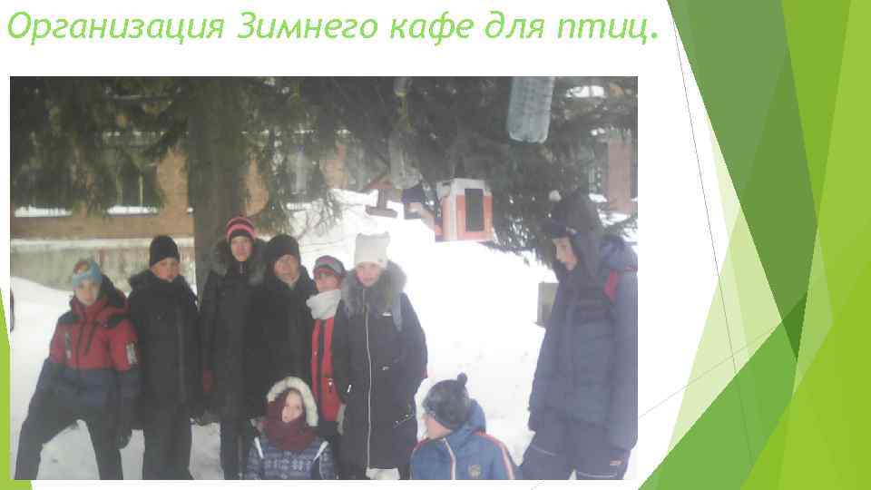 Организация Зимнего кафе для птиц. 