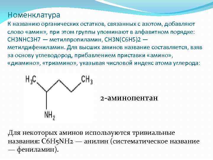 Номенклатура К названию органических остатков, связанных с азотом, добавляют слово «амин» , при этом