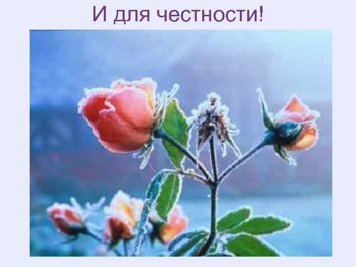 И для честности! 