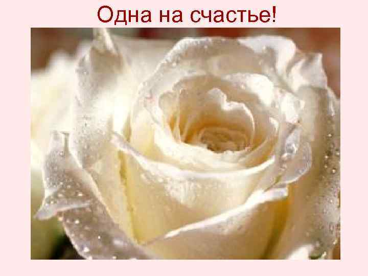 Одна на счастье! 