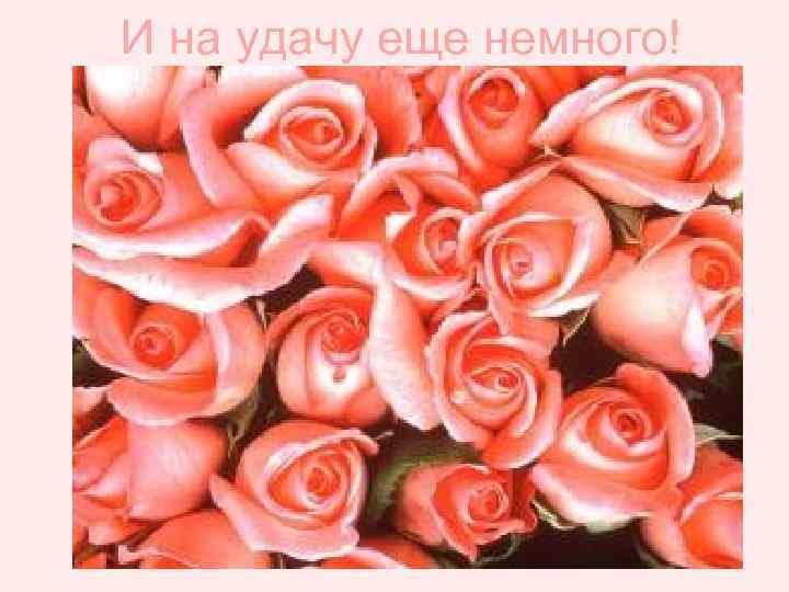 И на удачу еще немного! 