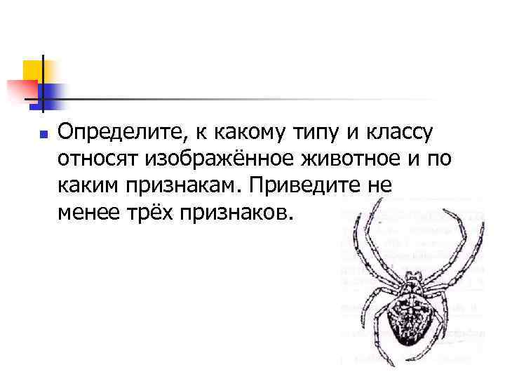 К какому подцарству типу относят животное изображенное на рисунке какой процесс изображен на рисунке