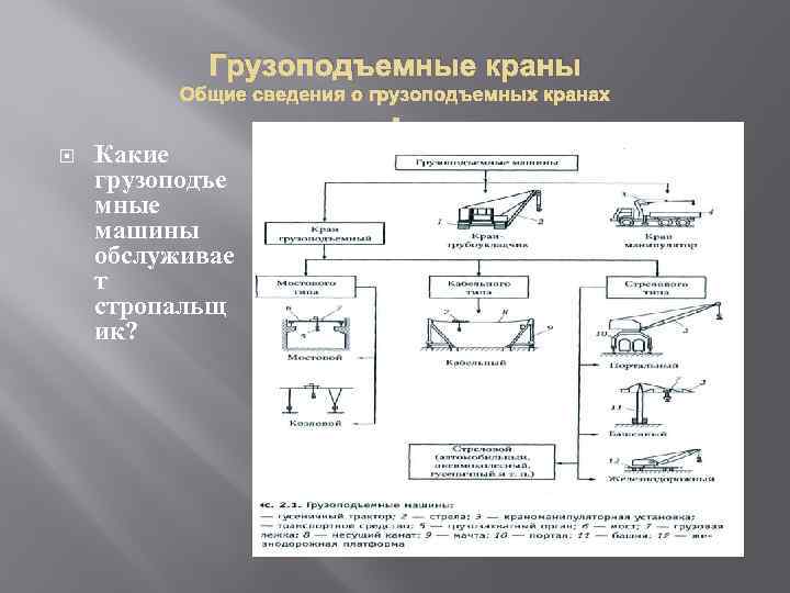 Грузоподъемные краны Общие сведения о грузоподъемных кранах Какие грузоподъе мные машины обслуживае т стропальщ