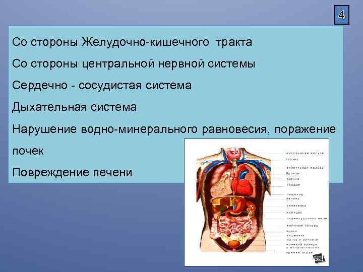 4 Со стороны Желудочно-кишечного тракта Со стороны центральной нервной системы Сердечно - сосудистая система