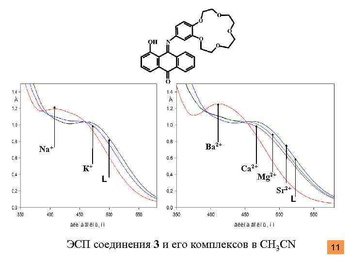 Ba 2+ Na+ К+ L Ca 2+ Mg 2+ Sr 2+ L ЭСП соединения