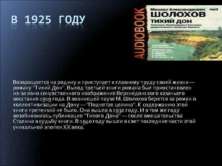 Возвращается на родину и приступает к главному труду своей жизни — роману 