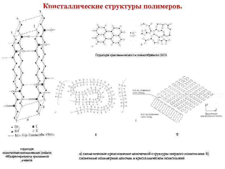 Кристаллические структуры полимеров. Структура кристаллического и стеклообразного Si. O 2 а структура полигексаметилендипамида (нейлон