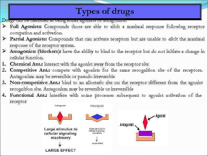 Types of drugs Drugs can be classified as being either agonists or antagonists. Full