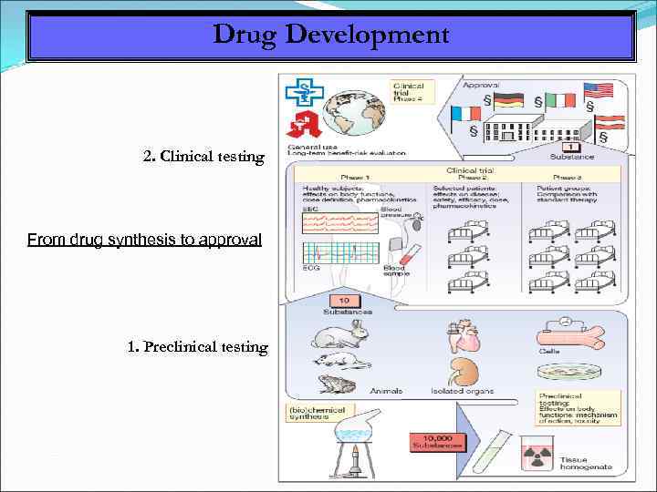 Drug Development 2. Clinical testing From drug synthesis to approval 1. Preclinical testing 