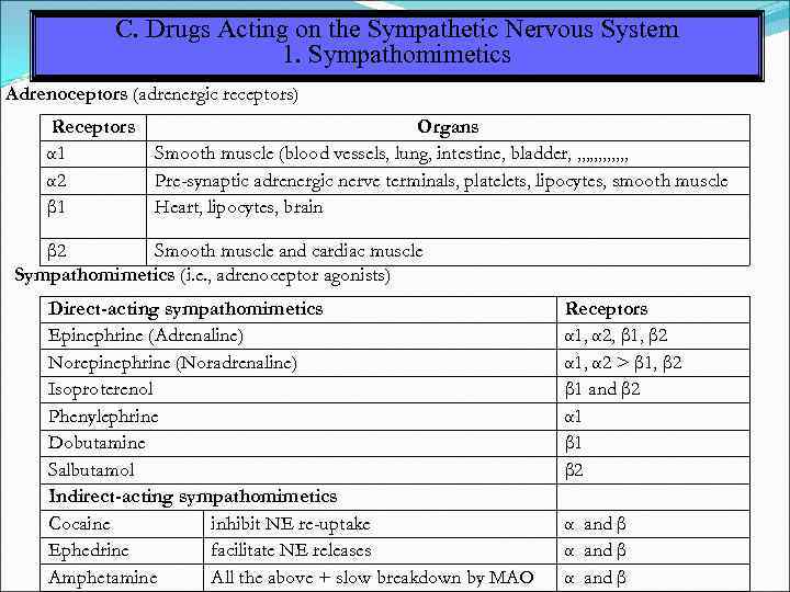 C. Drugs Acting on the Sympathetic Nervous System 1. Sympathomimetics Adrenoceptors (adrenergic receptors) Receptors