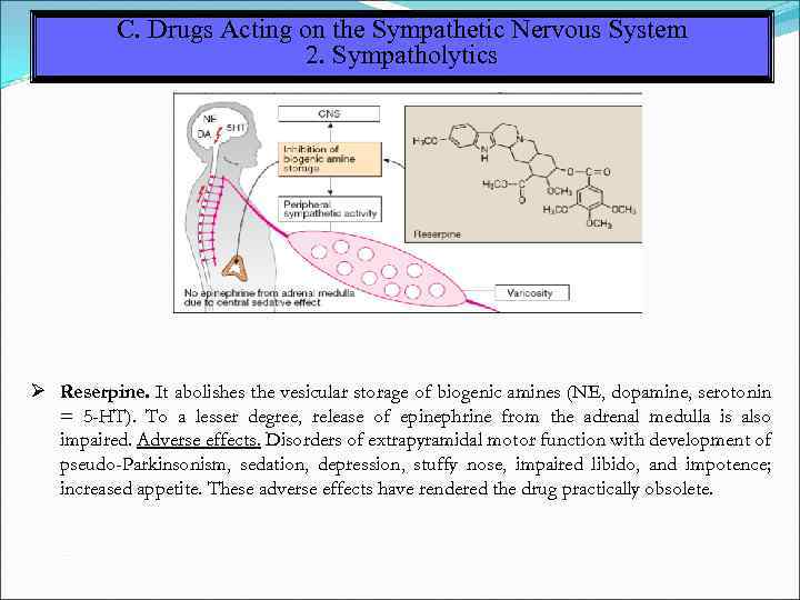 C. Drugs Acting on the Sympathetic Nervous System 2. Sympatholytics Reserpine. It abolishes the