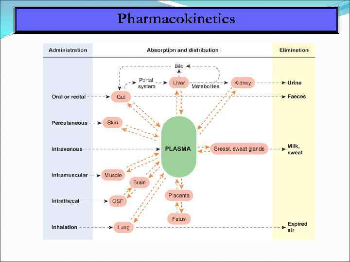 Pharmacokinetics 