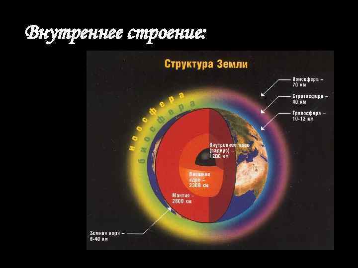 Внутреннее строение: 