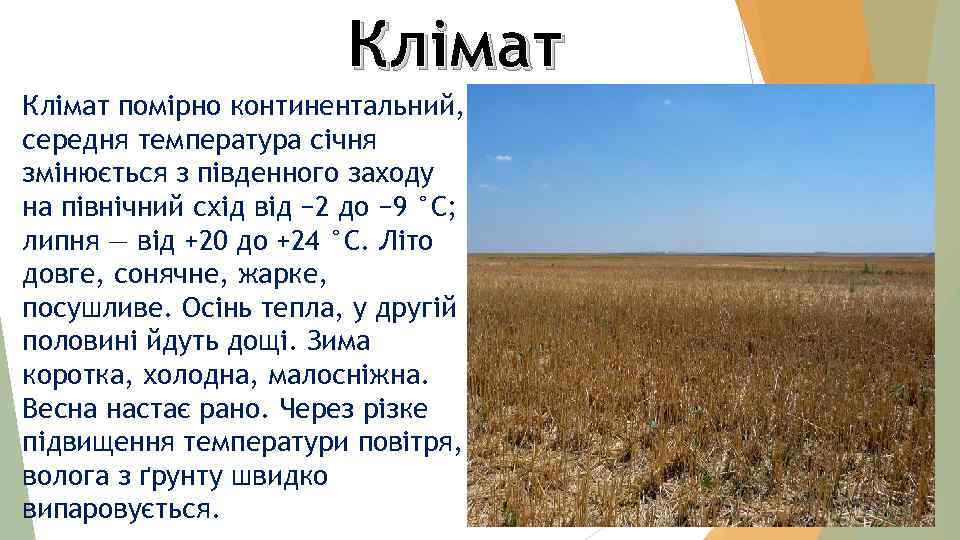 Клімат помірно континентальний, середня температура січня змінюється з південного заходу на північний схід від