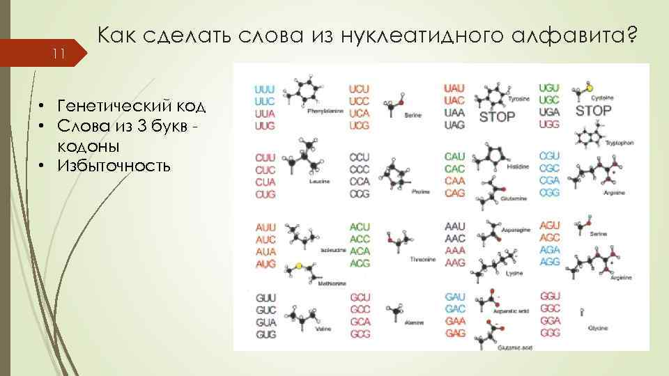 11 Как сделать слова из нуклеатидного алфавита? • Генетический код • Слова из 3