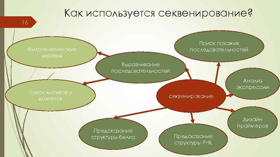 16 Как используется секвенирование? Поиск похожих последовательностей Филогенетические деревья Выравнивание последовательностей Анализ экспрессии Поиск