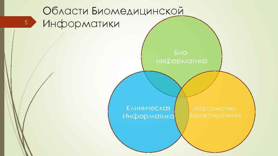 5 Области Биомедицинской Информатики Биоинформатика Клиническая Информатика Здравоохранения 