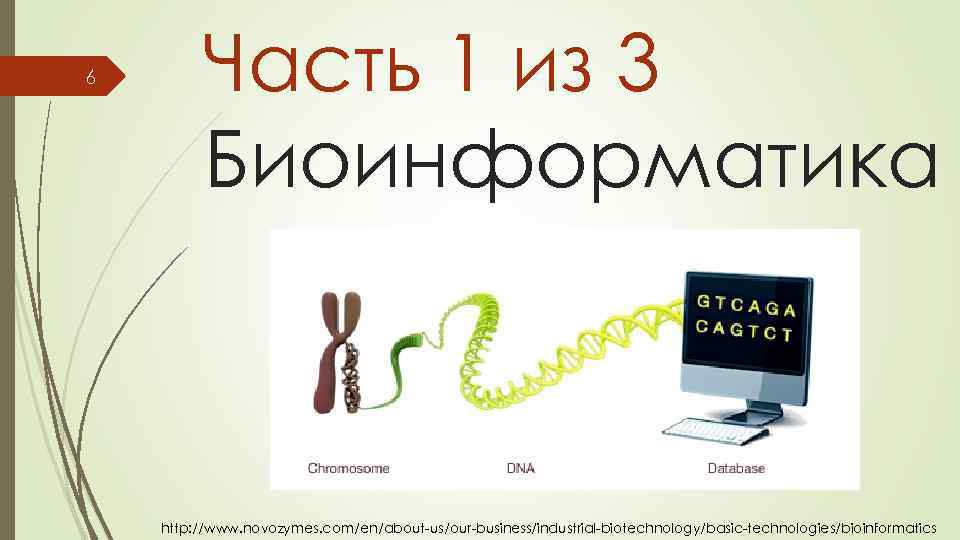 6 Часть 1 из 3 Биоинформатика http: //www. novozymes. com/en/about-us/our-business/industrial-biotechnology/basic-technologies/bioinformatics 