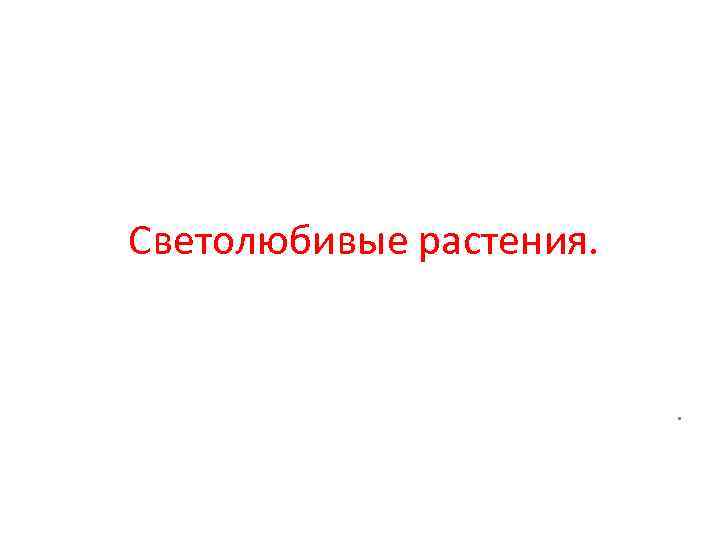 Светолюбивые растения. . 