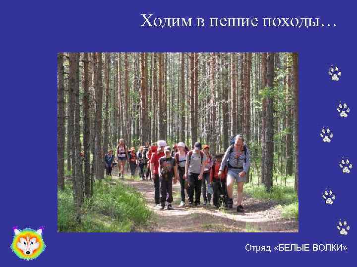 Ходим в пешие походы… Отряд «БЕЛЫЕ ВОЛКИ» 
