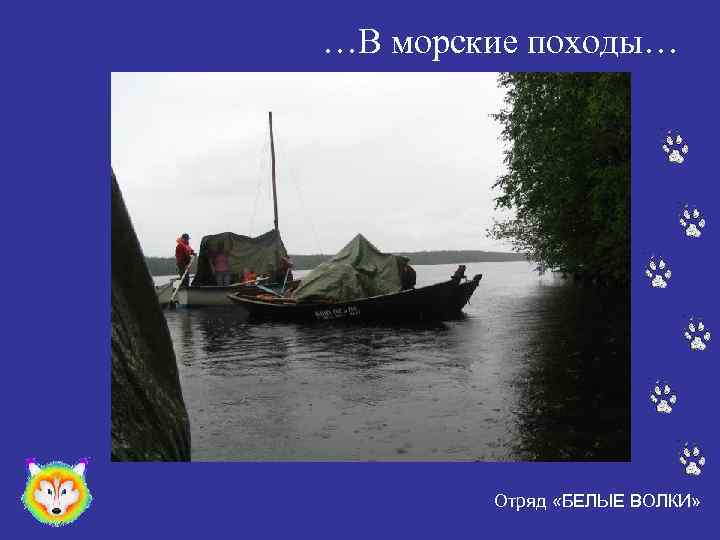 …В морские походы… Отряд «БЕЛЫЕ ВОЛКИ» 