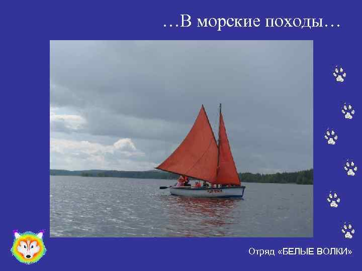 …В морские походы… Отряд «БЕЛЫЕ ВОЛКИ» 